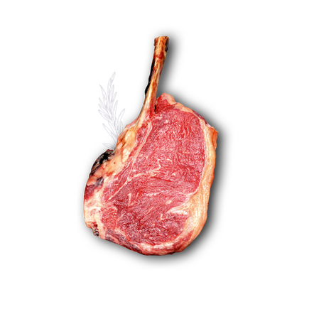 TOMAHAWK