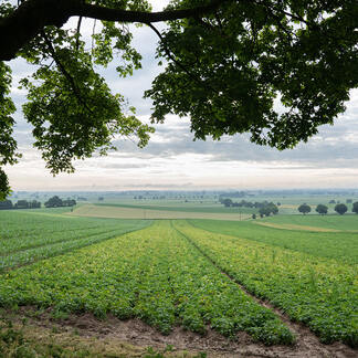 Wir wissen wos herkommt