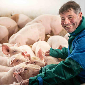 Unser Strohschwein
